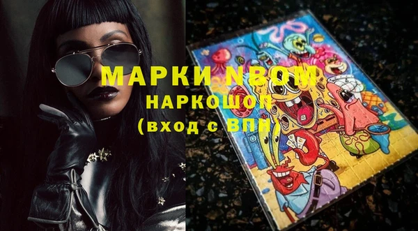 ешки Новодвинск