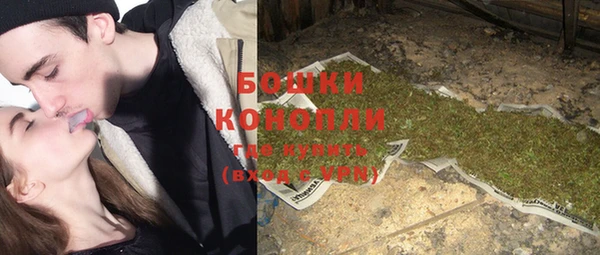 ешки Новодвинск