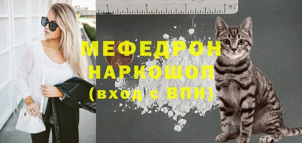 ешки Новодвинск