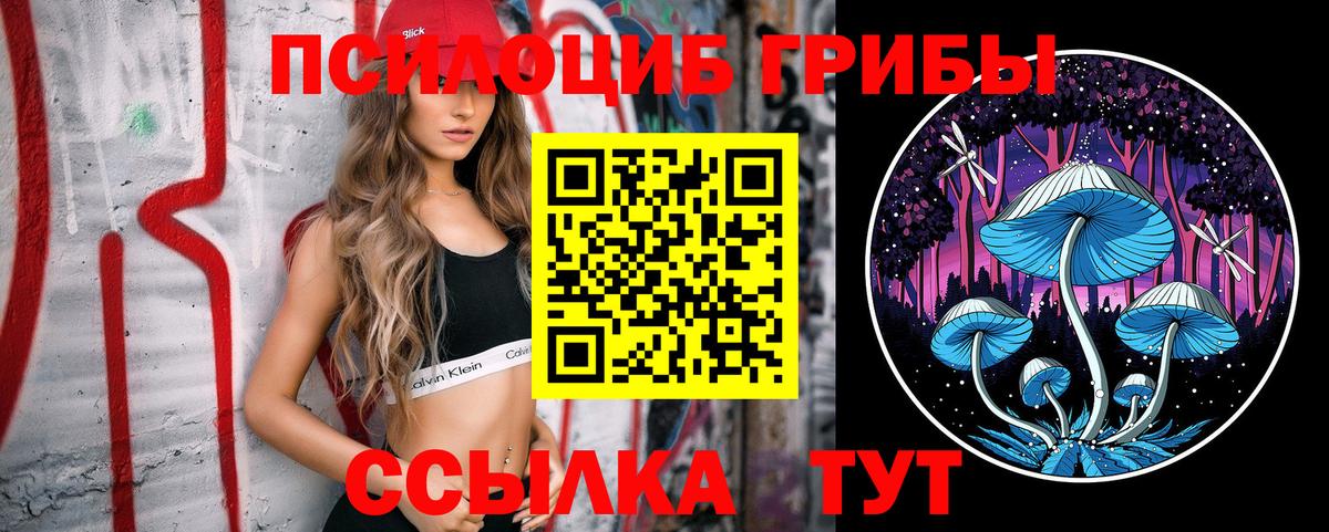 Псилоцибиновые грибы GOLDEN TEACHER  Псилоцибиновые грибы Psilocybine cubensis  закладка  Аша 