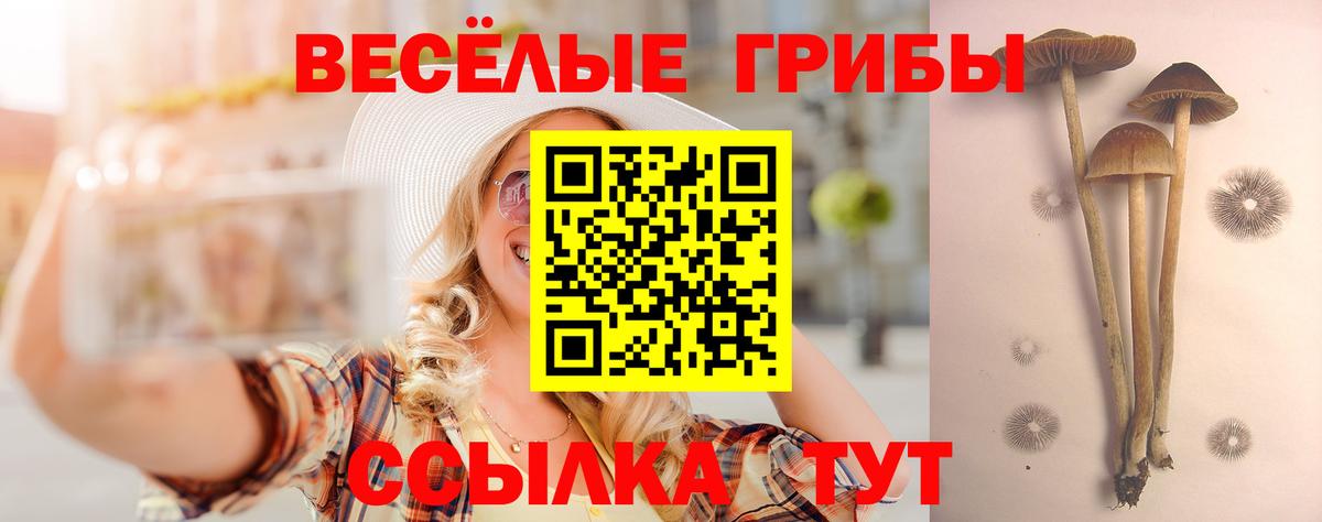 Аша  Галлюциногенные грибы мухоморы  Вход с VPN  Псилоцибиновые грибы MAGIC MUSHROOMS 