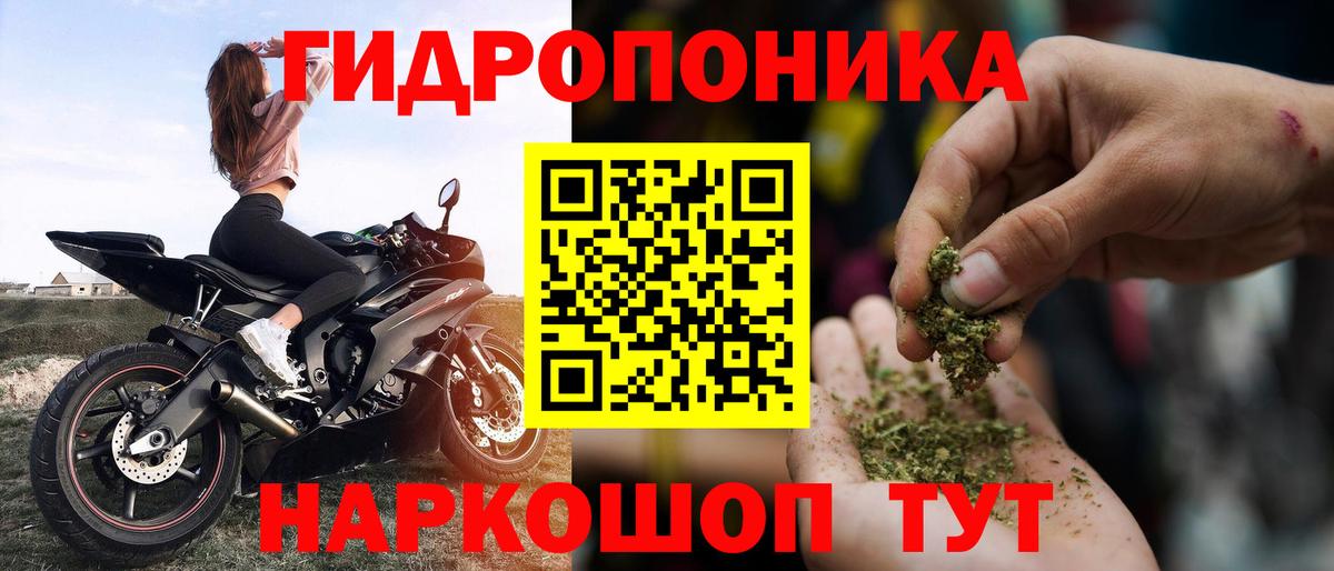 Конопля марихуана Аша